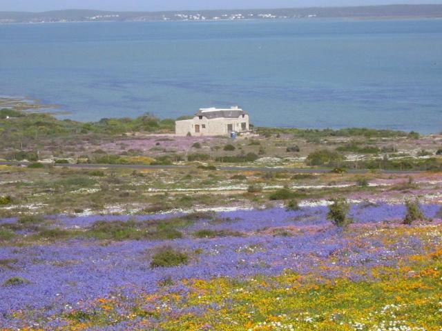 Makarios B&B Langebaan Exterior foto